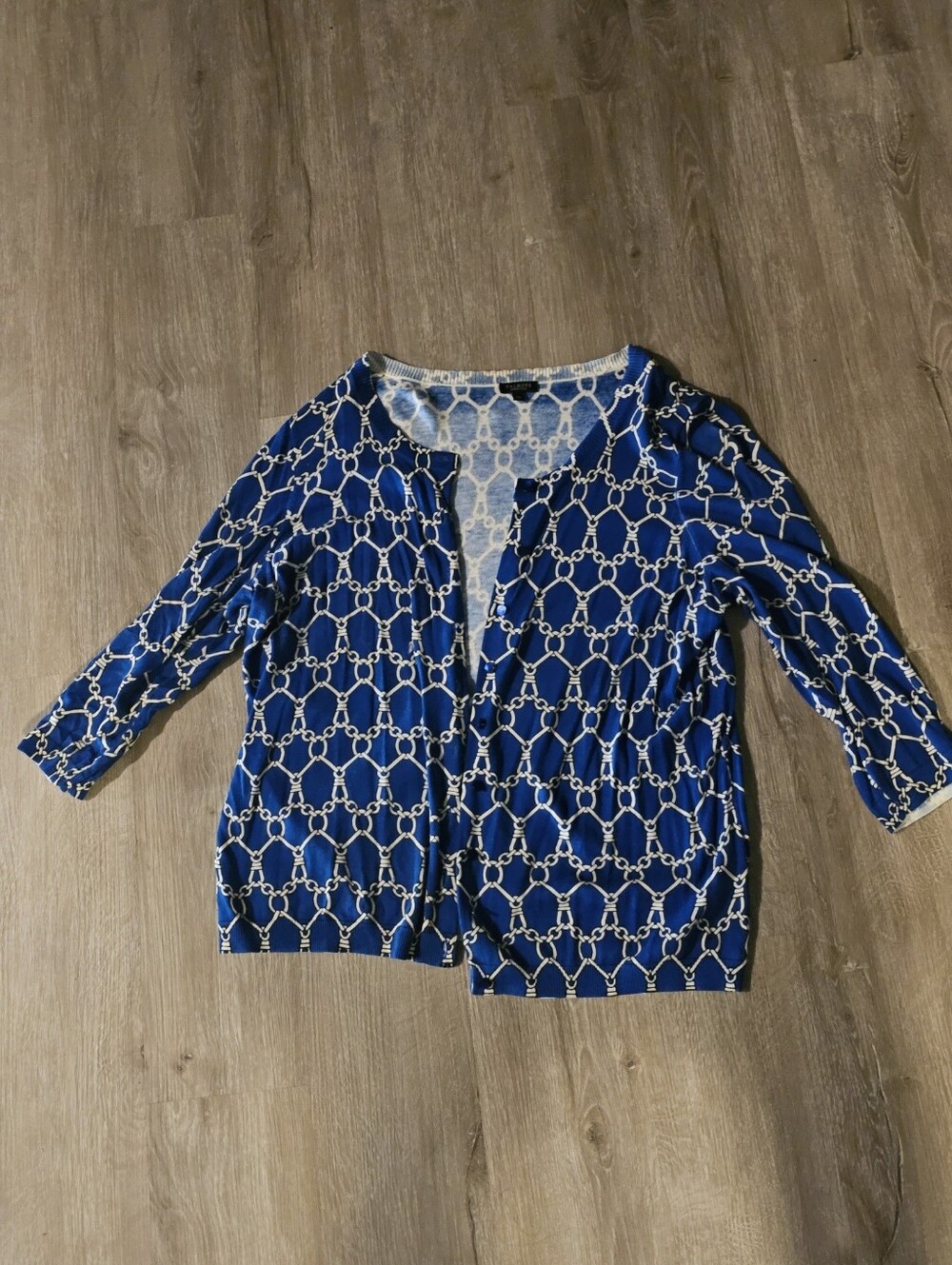 Talbots Blue and White Chain-Print Button-Down Shirt